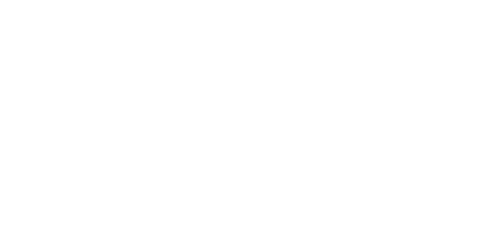VIFD Academy Logo
